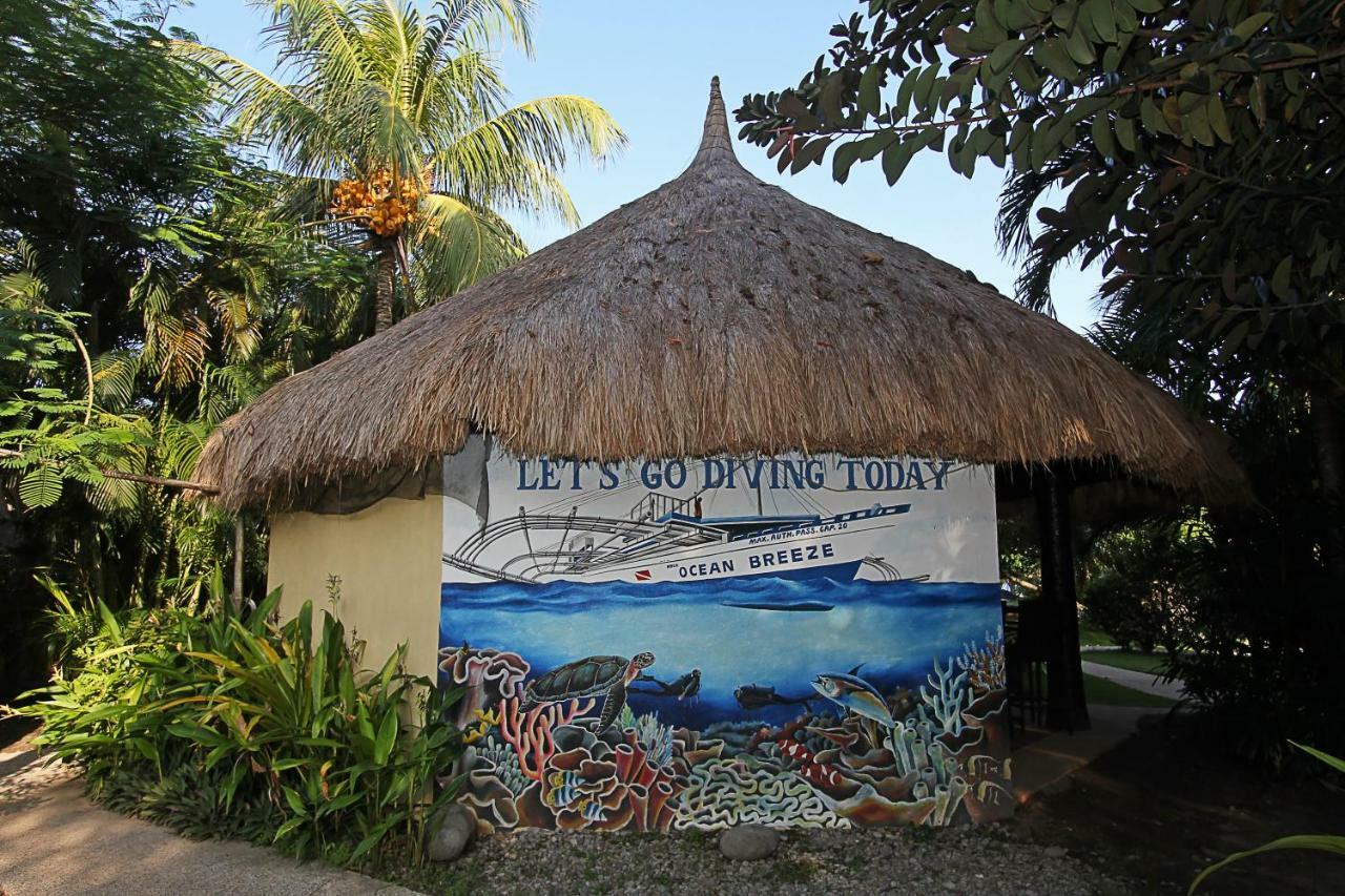 Thalatta Resort Zamboanguita  Extérieur photo